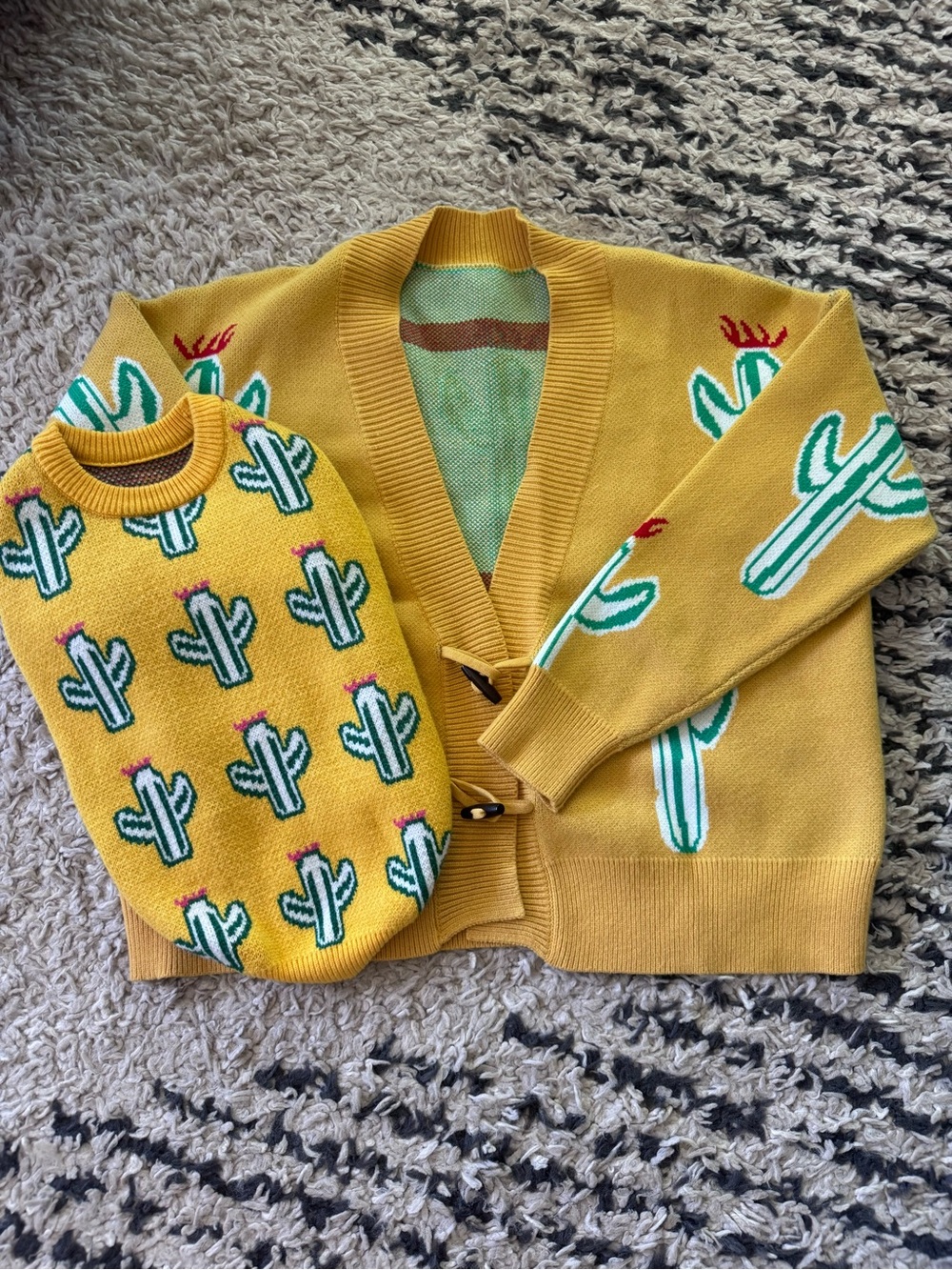Matching Pet and Person cactus sweaters